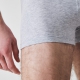 LACOSTE 3-pak underbukser/boxershort i grå til herre