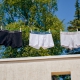 LACOSTE 3-pak underbukser/boxershort i forskellige farver til herre
