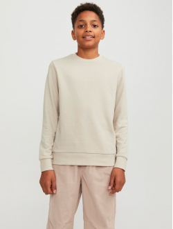 JACK & JONES Junior crew sweatshirt til drenge – moonbeam – aktive størrelser 128, 140, 152, 164 og 176