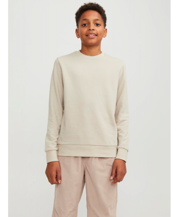 Jack & Jones Junior crew sweatshirt i moonbeam til drenge