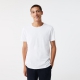 LACOSTE t-shirt i hvid til mænd, størrelser S, M, L, XXL