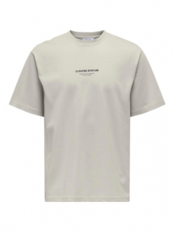 ONLY & SONS O-neck T-Shirt i Silver Lining til herre