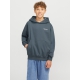 Jack & Jones Junior crew sweatshirt i moonbeam til drenge