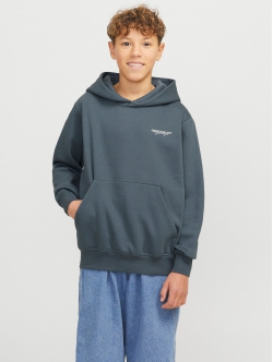 Jack & Jones Junior crew sweatshirt i moonbeam til drenge