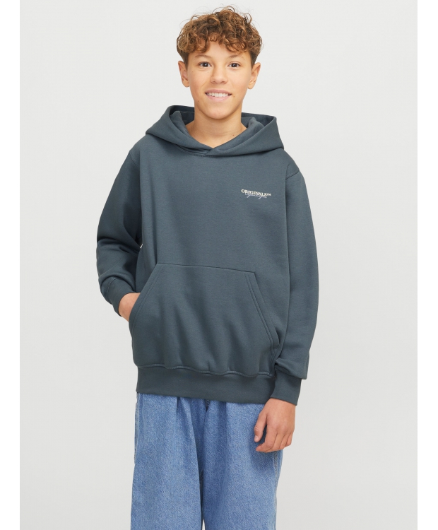 Jack & Jones Junior crew sweatshirt i moonbeam til drenge