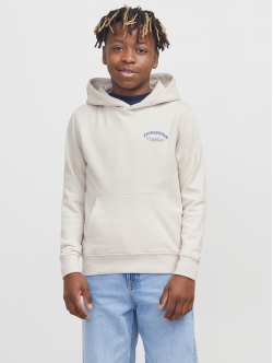 Jack & Jones Junior crew sweatshirt i moonbeam til drenge