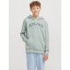 Jack & Jones Junior hoodie i sort til drenge