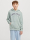 Jack & Jones Junior hoodie i sort til drenge