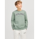 Jack & Jones Junior crew sweatshirt i sort til drenge