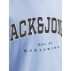 Jack & Jones Junior T-shirt i lyseblå til drenge