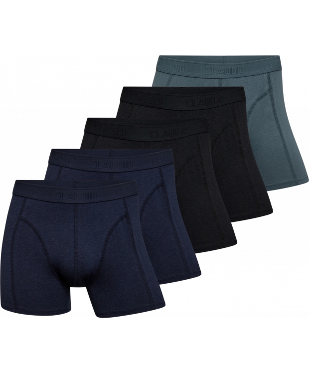 Claudio 5pak bambus underbukser/tights i multifarvet til herre
