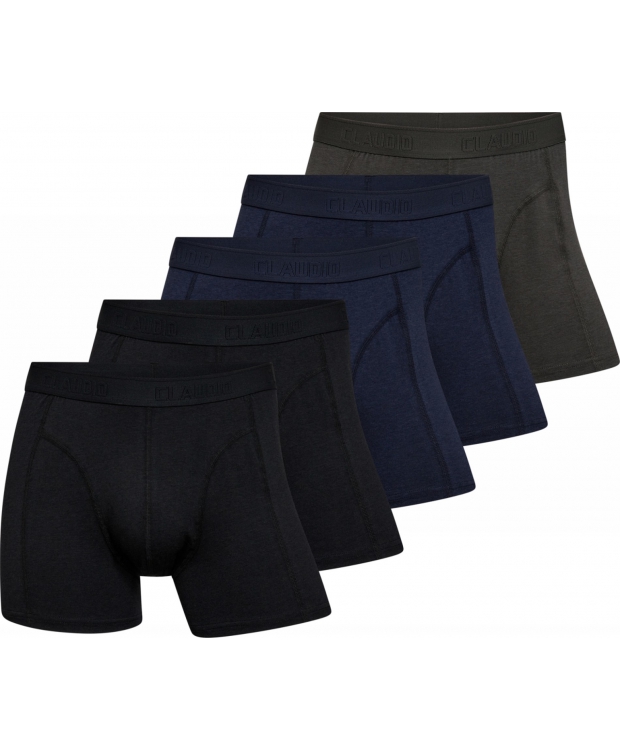Claudio 5pak bambus underbukser/tights i multifarvet sort, blå og grå til herre