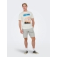 ONLY & SONS regular fit shorts i grå til herre
