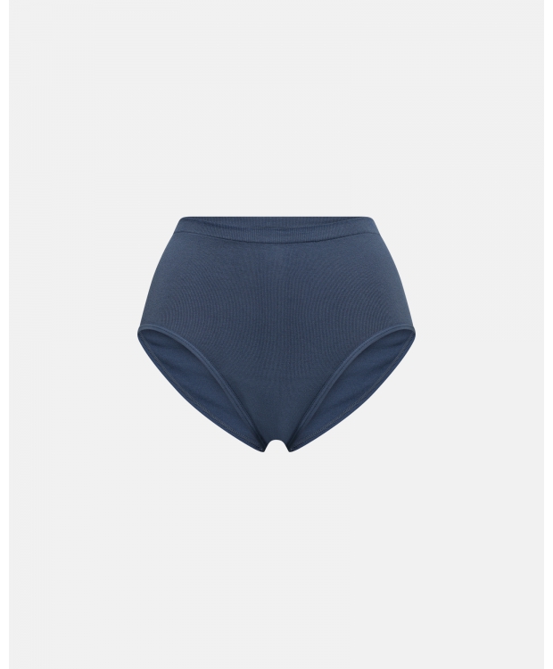 JBS Of Denmark Women Hybrid maxi brief I blå til kvinder