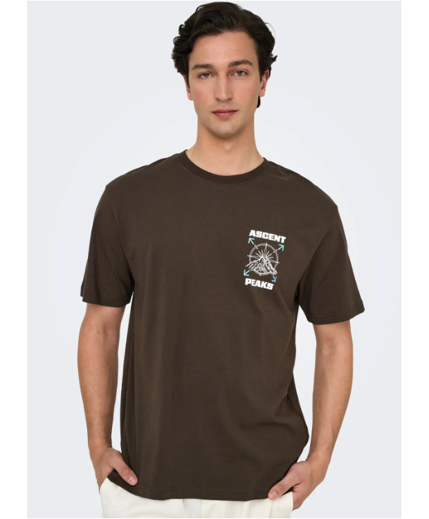 ONLY & SONS T-Shirt i Demitasse med Ascent Peaks print til herre