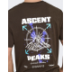 ONLY & SONS T-Shirt i Demitasse med Ascent Peaks print til herre