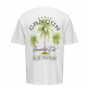 ONLY & SONS T-Shirt i hvid med Cancun print til herre