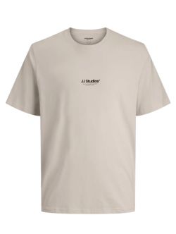 Jack & Jones Junior T-shirt i Moonbeam til drenge