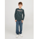 Jack & Jones Junior stonewashed regular fit-jeans i blå denim til drenge – str. 98, 104, 110, 116, 122 og 128