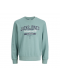 Jack & Jones MINI sweatshirt i grøn til drenge