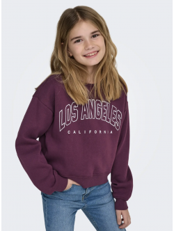 KIDS ONLY Langærmet sweatshirt i lilla til piger