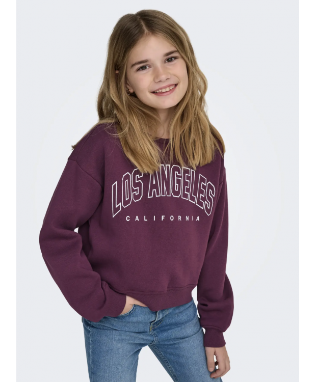 KIDS ONLY Langærmet sweatshirt i lilla til piger