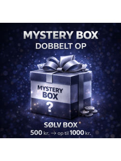 Mystery Box Herre