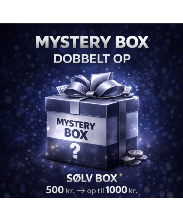 Mystery Box Herre | SØLV BOX