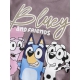 Name It NMFARIA Bluey langærmet bluse i rosa til piger