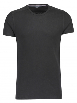 Lindbergh sort T-shirt i 100% bomuld til herre – aktive størrelser L, XXL og XXXL.