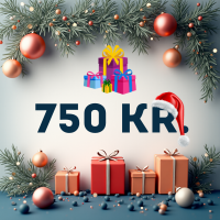 Gaver under 750kr