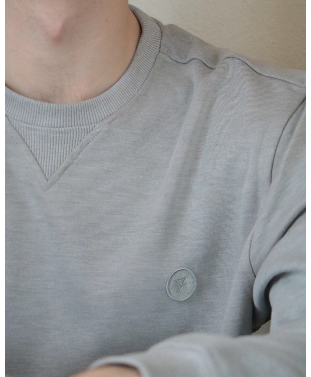 JBS of Denmark sweatshirt i lysegrå til herre
