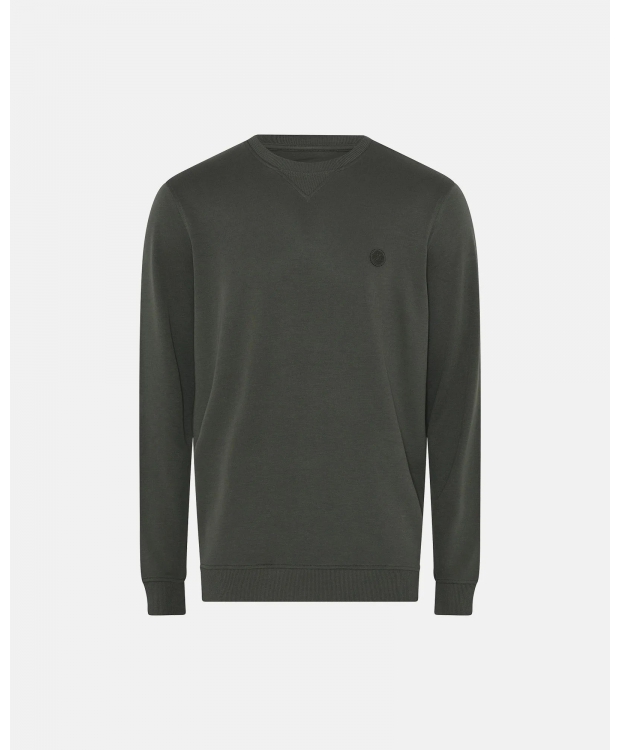 JBS of Denmark sweatshirt i grøn til herre
