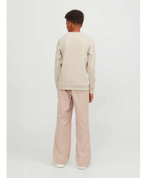 Jack & Jones Junior crew sweatshirt i moonbeam til drenge billede 3