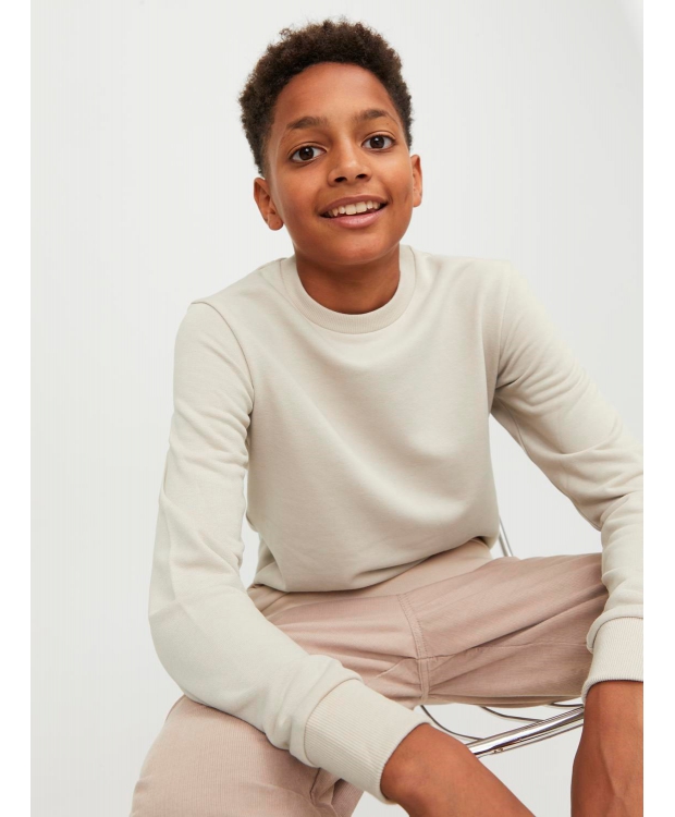 Jack & Jones Junior crew sweatshirt i moonbeam til drenge billede 4