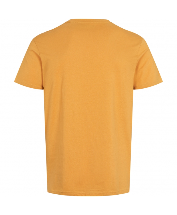 U.S POLO ASSN T-shirt i orange til herre | Regular fit |