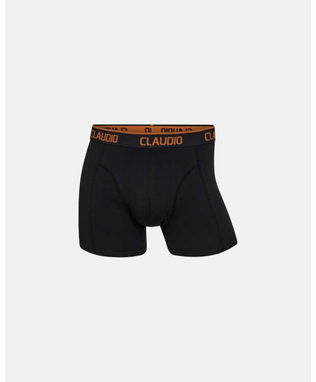 Claudio 2pak underbukser/trunks i multifarvet til herre