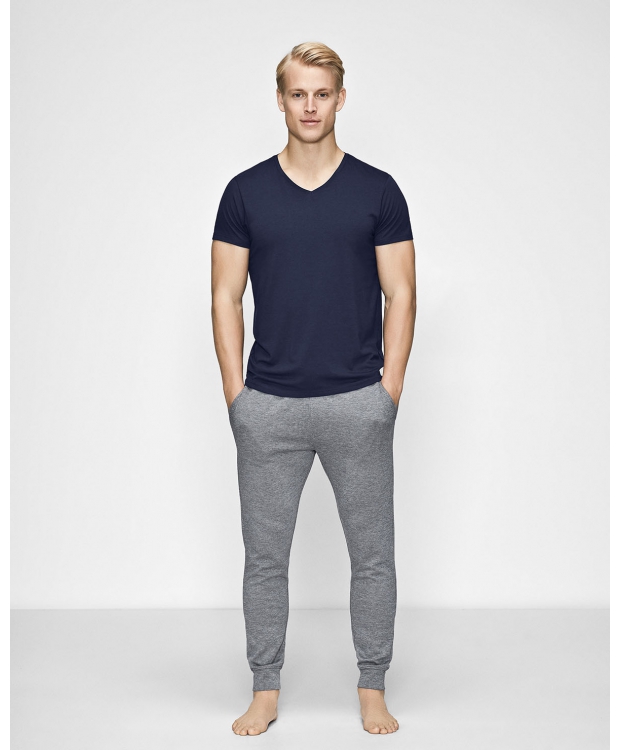 JBS Of Denmark V-hals T-shirt i økologisk bomuld i navy til herre