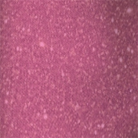 HUGO strømper i pink m. glimmer til kvinder