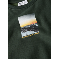 Name it sweatshirt i grøn til drenge