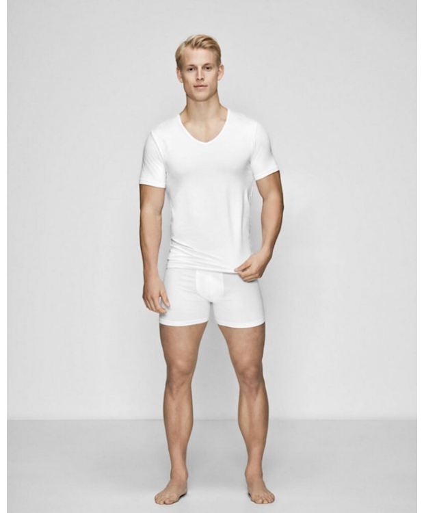 JBS Of Denmark T-shirt med v-hals i hvid til herre